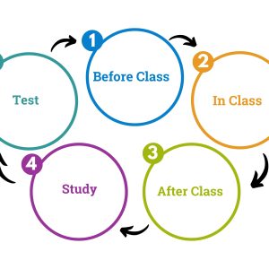 study cycle outline in colors