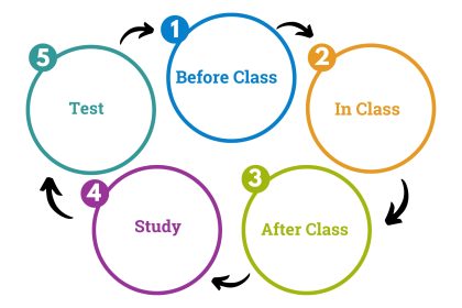 study cycle outline in colors